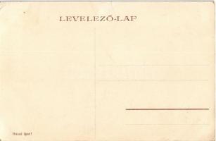 Szabadka, Subotica; Kaszinó épület és Honvéd emlék, Délvidéki Általános Takarékpénztár, fagerendák é...