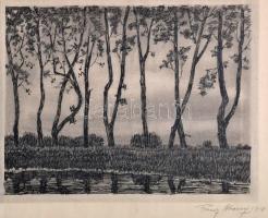 Franz Abony (?-?): Tájkép fákkal, rézkarc, papír, jelzett, 22×28 cm