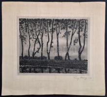 Franz Abony (?-?): Tájkép fákkal, rézkarc, papír, jelzett,  22×28 cm