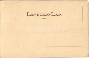 Szentkeresztbánya, Szentegyháza, Vlahita; utca, fürdő bejárat. Siska Ignác kiadása / street view wit...