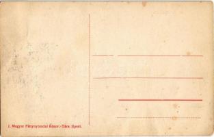 Budapest, Bleriot repülőgépe az Erzsébet híd felett (fl)