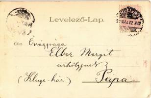 1899 Budapest XIV. Városliget, Iparcsarnok. Kunstanstalt Kosmos S. IX. Art Nouveau, floral, litho (E...