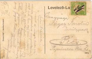 1915 Budapest XXIII. Soroksár, Duna részlet, hajómalom. Temler fény. kiadása / boat mill (fl)