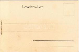 Budapest, Ingyenes fürdő a Dunán, fürdőzők, lovak. Kiadja Taussig Arthur 5461. / Freibad an der Dona...