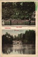 1914 Szászrégen, Reghin; Városligeti park és tó, csónakda kioszk / park and lake, kiosk (fl)