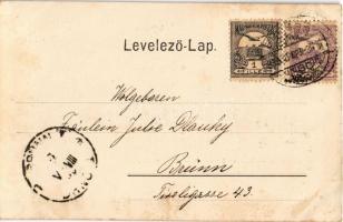 1900 Brassó, Kronstadt, Brasov; Víz medence. Kiadja Julius Müller utóda Tartler & Schreiber / Wa...