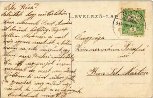 1912 Alváca-gyógyfürdő, Vata de Jos; meleg gyógyfürdő. Adler fényirda 1910. / hot spa