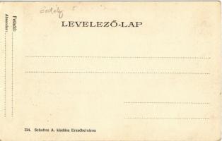 Erzsébetváros, Dumbraveni; Városi Tanácsház, Városháza, Löw Minna, Szabó István üzlete. Kiadja Schol...