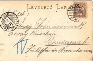 1900 Szilágysomlyó, Simleu Silvaniei; Városi szálloda és városháza, kávéház, a város délnyugati képe...