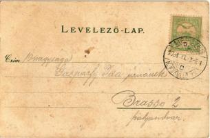 1905 Medgyes, Mediasch, Medias; Forkeschgasse, Blick nach der evang. Kirche / utcakép, Evangélikus t...