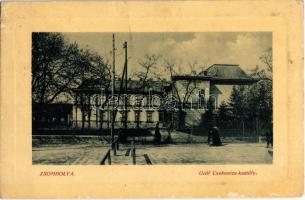 1912 Zsombolya, Hatzfeld, Jimbolia; Gróf Csekonics kastély. W. L. Bp. 6652. Kiadja Bundy Ferenc / castle (EK)