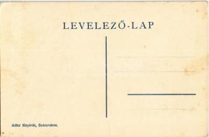 Hunyad-Vaskapu, Hunedoara-Portile de Fier; a szoros csatahelye. Adler fényirda / battlefield of the ...