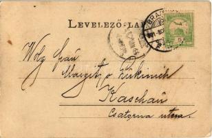 1901 Brassó, Kronstadt, Brasov; Kornzeile, Schutzengel Apotheke / Búzasor, piaci árusok, Servatius &...