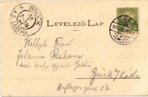 1901 Dés, Deés, Dej; Szolnok-Doboka Vármegyei Gazdasági Egylet irodája, csikólegelője, raktára és ke...