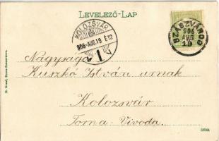 1906 Szászváros, Broos, Orastie; Eisenburger kávéház, üzletek. Kaidja H. Graef / café and shops (r)