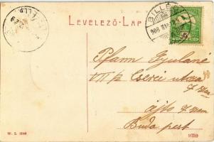 1908 Billéd, Biled; Hotel Trombitás szálloda. W. L. 1249. / hotel (gyűrődés / crease)