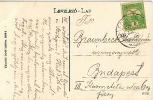 1909 Fogaras, Fagaras; Vártér, népviseletes asszony vasvillával. Kiadja Thierfeld Dávid / castle squ...