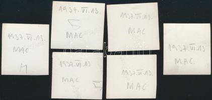 1937 a Magyar Atlétikai Club a Margitsziget déli részén, 6 db fotó, hátuljukon feliratozva, 4×4 cm