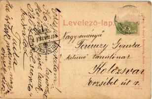 1907 Beszterce, Bistritz, Bistrita; Forstdirektion / Erdőigazgatóság. W. L. (?) No. 389. Kiadja M. H...