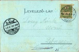 1902 Segesvár, Schässburg, Sighisoara; a város teljes látképe. Kiadja Teutsch Frigyes, Roth G. H. fé...