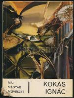 Horváth Teréz: Kokas Ignác. Mai Magyar Művészet. Bp.,1982,Képzőművészeti Alap. Kiadói kartonált papí...