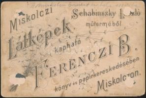 1885 Miskolc, a mai Erzsébet-tér helye 1885-ben, előtérben a Szinva-patak, keményhátú fotó, Schabins...