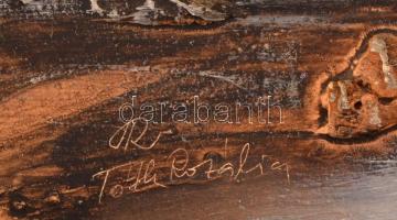 Tóth Rozália (1946-2015): Téli Alföld, olaj-gipsz, farost, jelzett, keretben, 17×38,5 cm