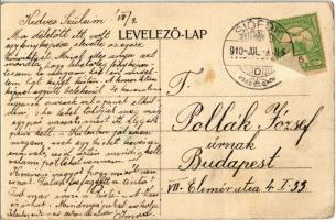 1910 Siófok, Balatonfürdő telepi gyógyintézet. Schwarcz Bernát kiadása Art Nouveau, floral (fa)