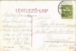 1909 Pöstyén, Pistyan, Piestany; Park. W. L. Bp. 5746. / park (EK)
