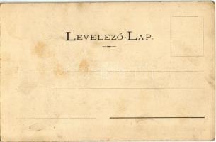 Ólubló, Stará Lubovna; Városháza. Kiadja Grün Teofil / town hall (EK)