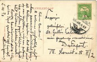 1911 Losonc, Lucenec; Rákóczi utca, Harsányi János, Hammermüller üzlete. W. L. Bp. 4714. Kiadja Kárm...