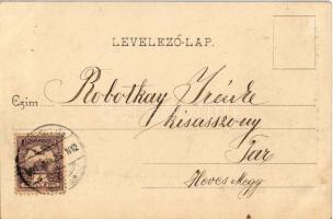 1901 Békéscsaba, Békés-Csaba; Vasút utca, Bille Bernát üzlete, Városi színház, Lepage Lajos könyvnyo...