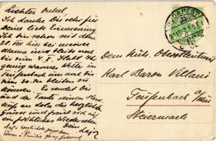 1911 Budapest XII. Svábhegy, Nemes-féle vízgyógyintézet (EK)