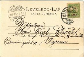 1905 Vukovár, Vukovar; utcakép szállodával és üzletekkel. Montázs hölgyekkel és urakkal. Kiadja L. H...