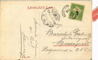 1908 Torontáltószeg, Nagytószeg, Novi Kozarci; Községháza. W. L. 1379. / town hall (EK)