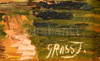 Gross jelzéssel: Eredi patak. Olaj, farost, keretben, 16×22 cm