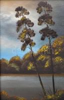 Jelzés nélkül: Tóparti fák. Olaj, karton, keretben, 14×9,5 cm