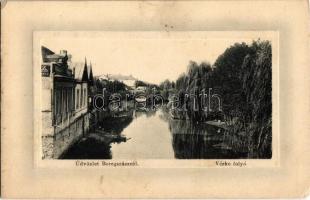 1915 Beregszász, Berehove; Vérke folyó. W. L. Bp. 6093. Ideal Kiadja Friedmann Móritz / Verke river bank (EK)