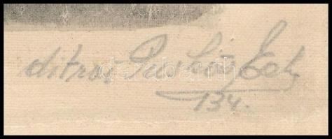 Ditrói Puskás Ede (?-?): Tabán. Tus, papír, jelzett, 19×12 cm