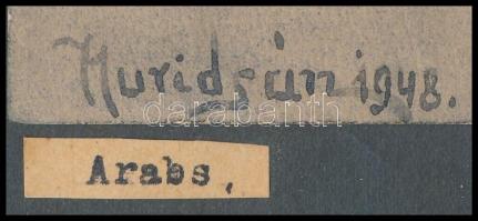 Hurdisán jelzéssel: Fehér ló. Akvarell-tus, papír, 21×14 cm