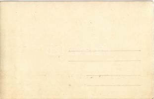 Balaton, Jégvitorlázás és fakutyázás, szánkózás a befagyott tó jegén, téli sport. photo