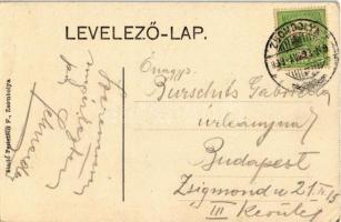 1909 Zsombolya, Jimbolia; Gróf Csekonics Csitó kastélya, Római katolikus templom, Muschong palota, M...