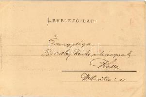 1902 Budapest VIII. Új vásártér, most kert-sétatér (ma II. János Pál pápa tér). Ganz Antal 117