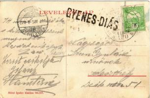 1907 Gyenesdiás, Balatoni vendéglő a "Tulipánhoz", szőlőskert. Mérei Ignác kiadása 346.907...