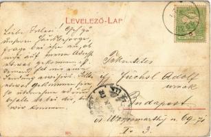 1907 Balatonszárszó, fürdőzők és napozók (fa)