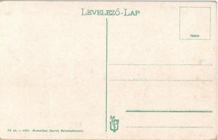 Balatonkenese, Jánossy nyaraló. Rosenthal Dávid kiadása