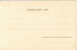 Balatonfüred, Fürdőház és gőzhajó. Bruchsteiner és fia, litho / Maison de Bain (EK)