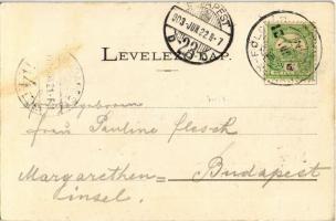 1903 Balatonföldvár, Kupa Vezér szálloda és étterem. Klösz György kiadása, Art Nouveau, floral