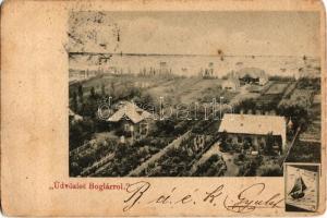 1903 Balatonboglár, Boglár; Balaton parti nyaralók, villák, vitorlás (EK)