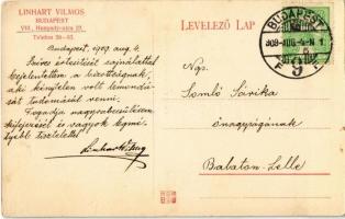 Budapest VIII. Linhart Vilmos festő és díszitő termei, műterem belsők. Hunyady utca 27. (Futó utca)